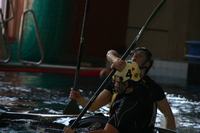 gal/26. Vilniaus konupolo cempionatas 2013/_thb_207.jpg